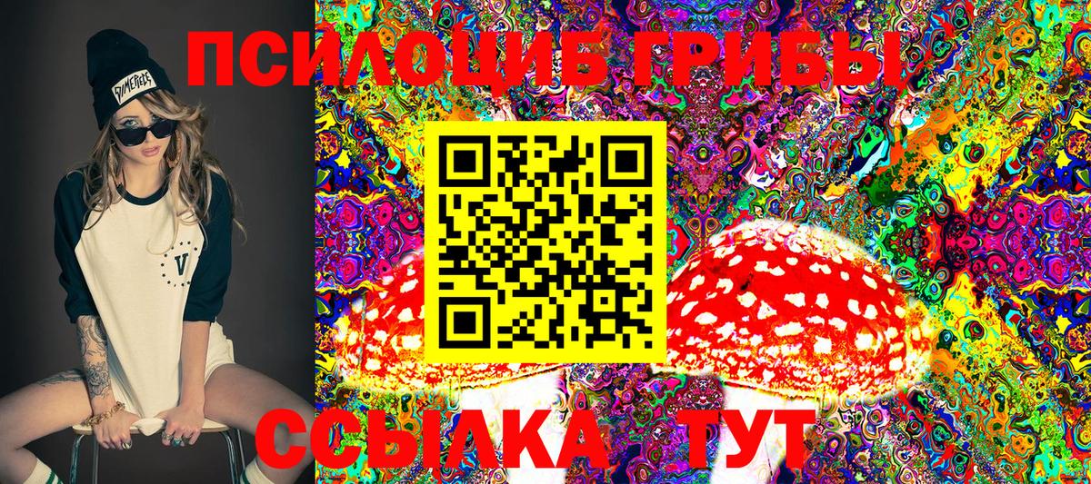 Псилоцибиновые грибы MAGIC MUSHROOMS Белово